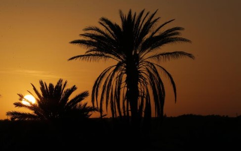 oued souf Sunset